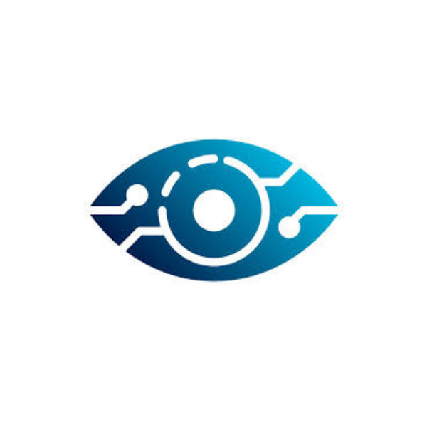 Vision